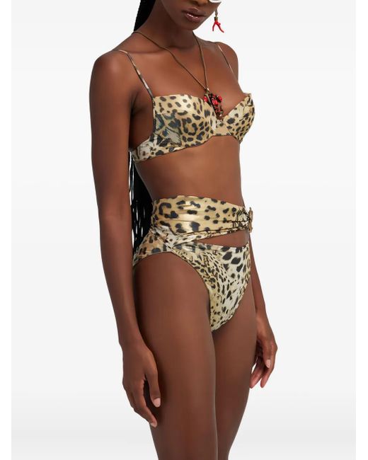 Roberto Cavalli White Leopard-Print Belted Bikini Bottom
