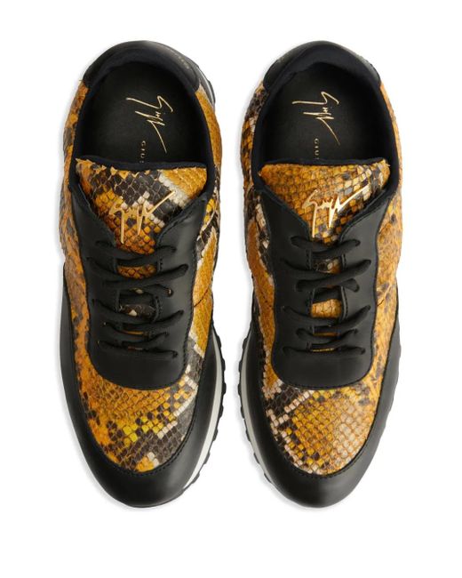 Giuseppe Zanotti Brown Baskets Jimi Running