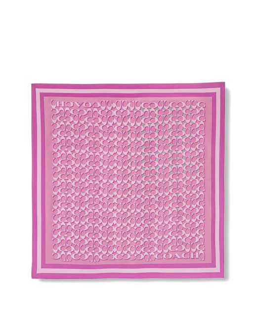 COACH Pink Signature Silk Scarf