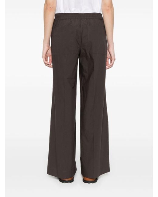 Pantalones rectos con pinzas P.A.R.O.S.H. de color Brown
