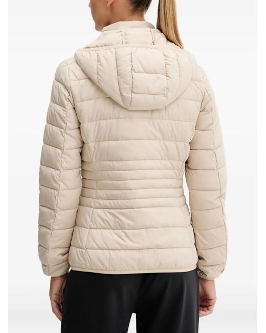 EA7 Natural Hooded Padded Jacket