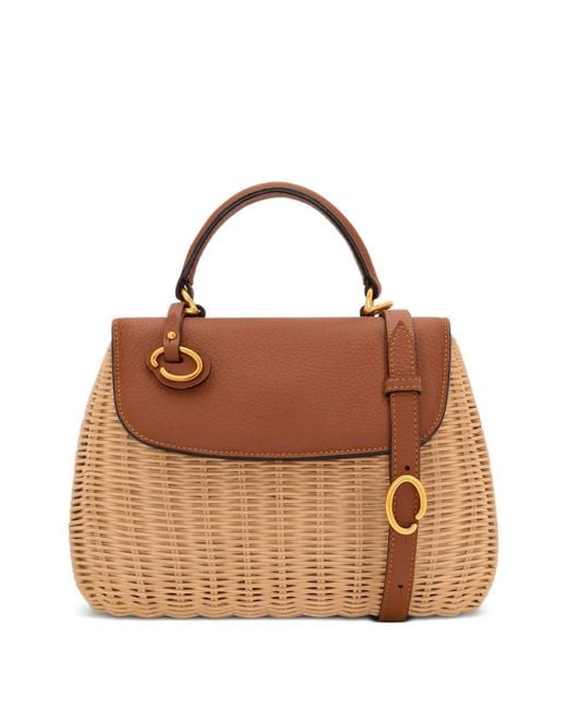 Oscar de la Renta Brown Poppy Tote Bag