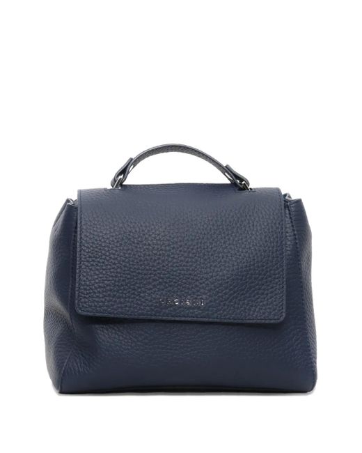 Borsa A Spalla Con Battente di Orciani in Blue