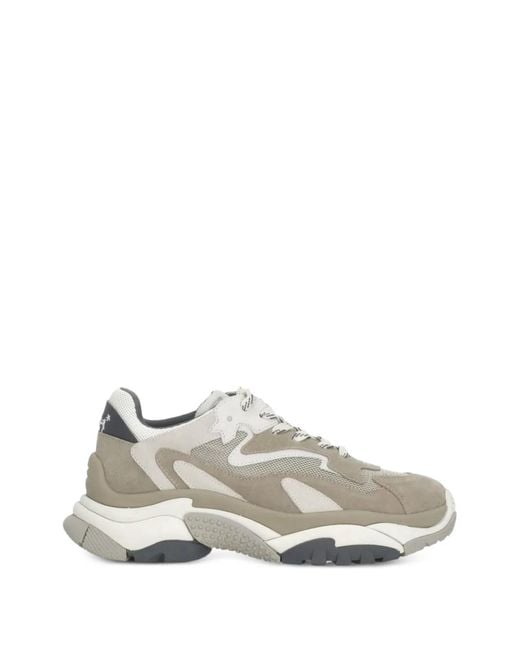 Ash White Baskets Addict