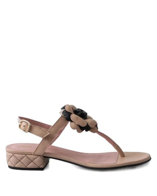 Sandalias de piel Pretty Ballerinas de color Brown