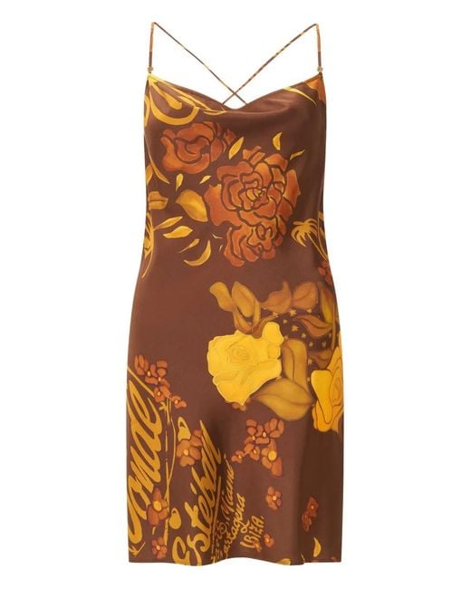 Donde Esteban Orange Veranera Floral-Print Mini Dress