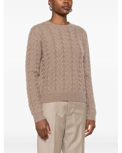 Max Mara Brown Sweaters