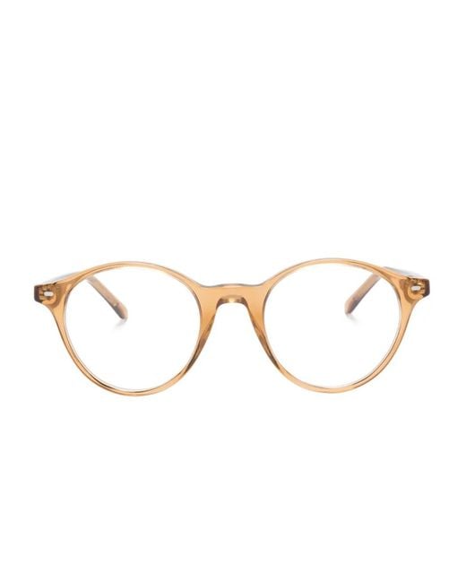 Ray-Ban Brown Bernard Glasses