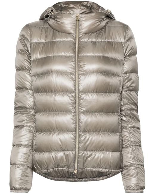 Herno Donsjack Met Capuchon in het Gray