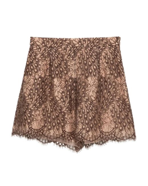 Shiatzy Chen Brown Scape-Of-Curve Lace-Print Shorts
