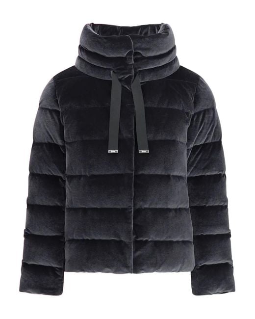Herno Gewatteerd Jack Met Chenille-Effect in het Black