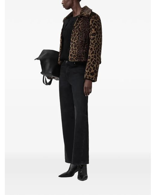 AllSaints Black Saye Leopard-Print Collared Jacket