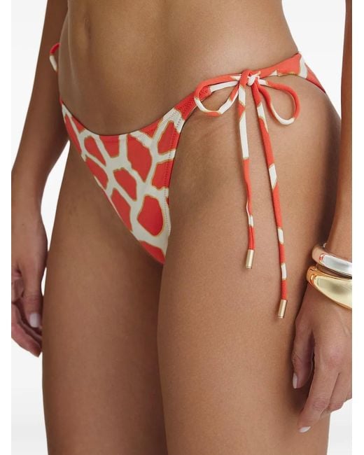 SOFIA ERHAN White Giraffe-Print Bikini