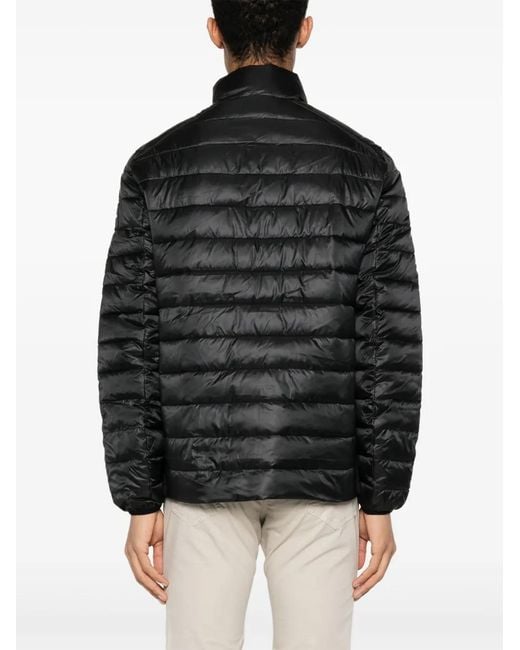 Calvin Klein Black Quilted Padded Jacket for men