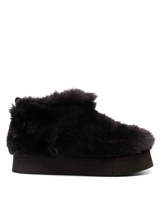 Paloma Barceló Belina ブーツ Black