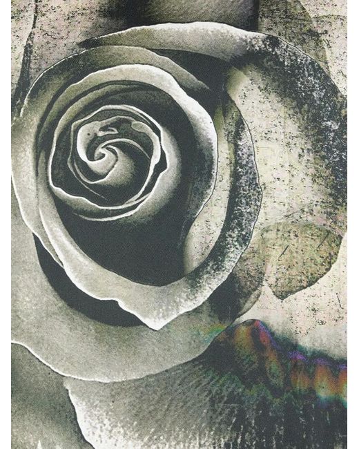Roberto Cavalli T-Shirt Mit Rosen-Print in Black für Herren