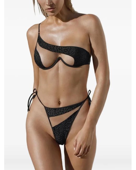 GOD SAVES QUEENS Black Leopard-Print Cut-Out Bikini Bottom