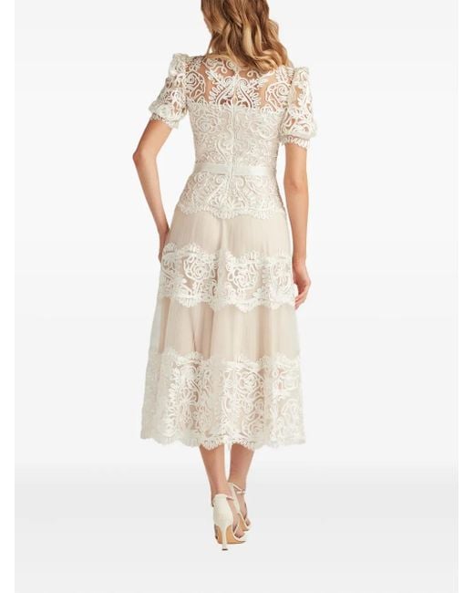 Tadashi Shoji Natural Belline Lace Ribbon Midi Dress
