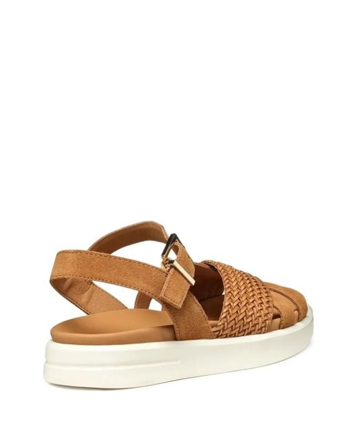 Geox Brown Woven-Strap Buckle Sandals