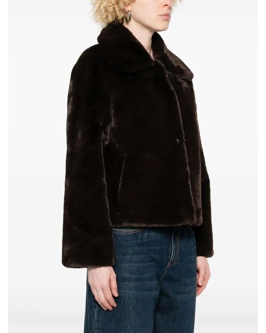 Apparis Black Elis Jacket