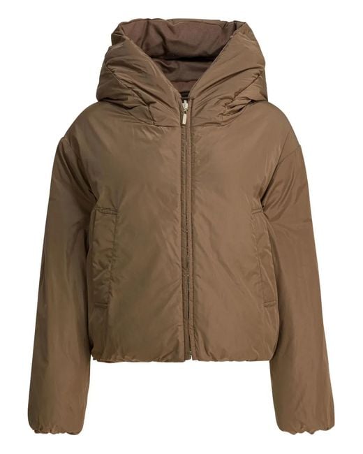 Max Mara Brown Jackets