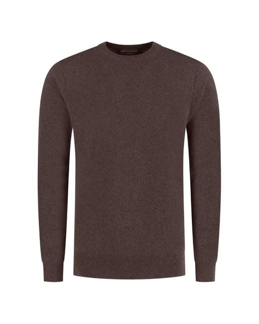 Doriani Brown Crew-Neck Knitted Sweater for men