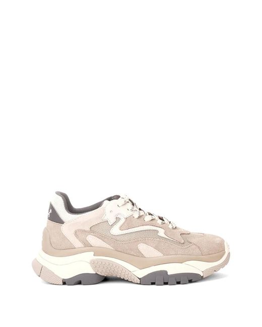 Ash White Addict Lace-Up Sneakers