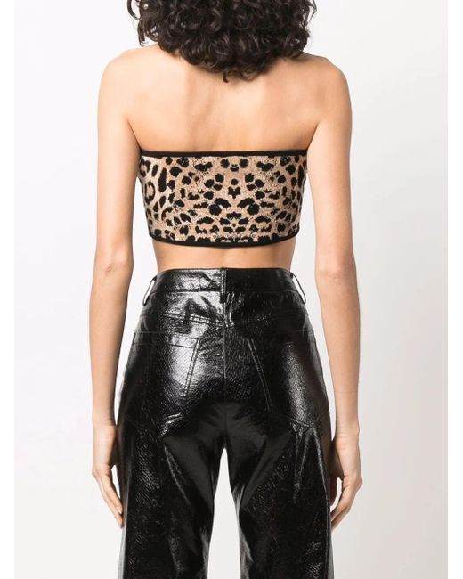 Philipp Plein Black Knitted Leopard-Print Bandeau Top
