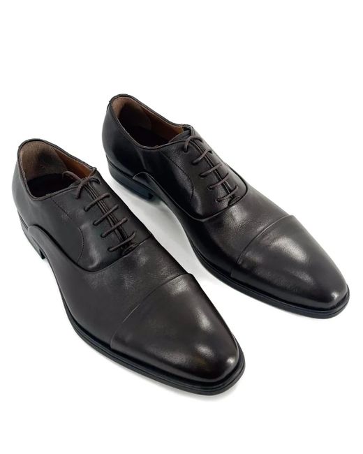BRUNO MAGLI, Dark Brown Leather Maioco Derby Men’s Shoes Amazon.com | Bruno Magli Men main image 2