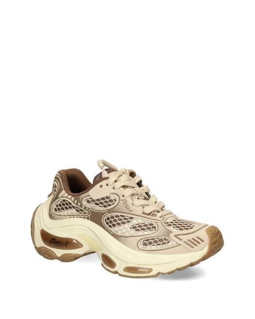 Ash Brown Dragon Chunky Sneakers