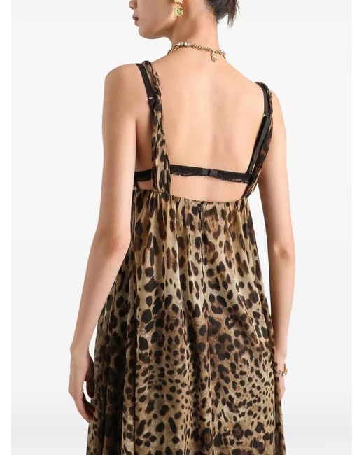 Dolce & Gabbana White Leo-Print Stretch Sheer Dress