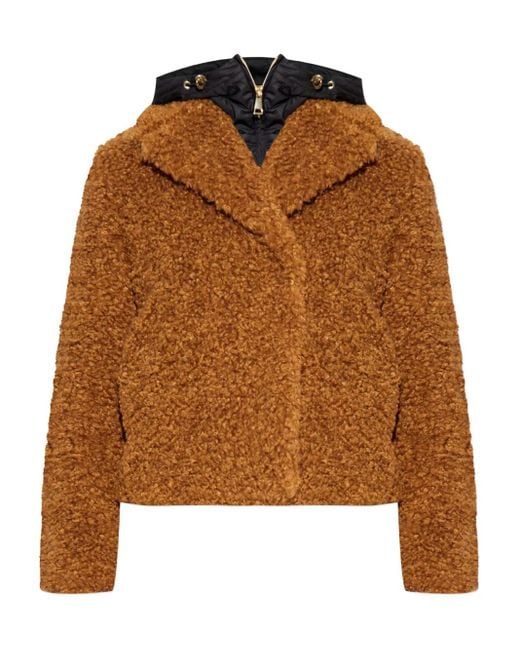 Moncler Brown Barbot Hooded-Neck Jacket