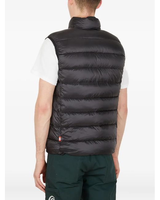 Ostrya Black Torpid Padded Gilet for men
