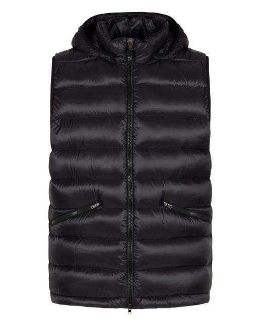 Herno Bodywarmer Met Capuchon in het Black voor heren