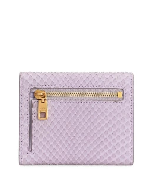 Dolce & Gabbana Purple Python Portemonnaie