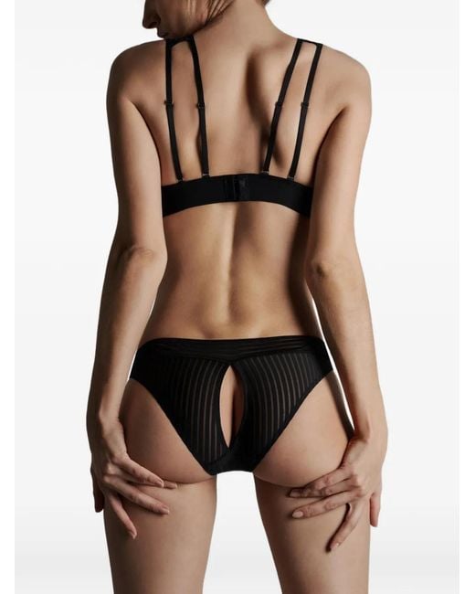 Maison Close Black Cut Out Briefs