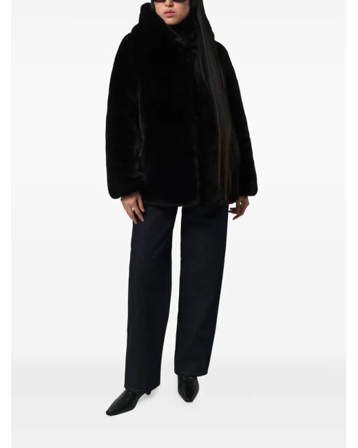 Apparis Black Katin Hooded Jacket