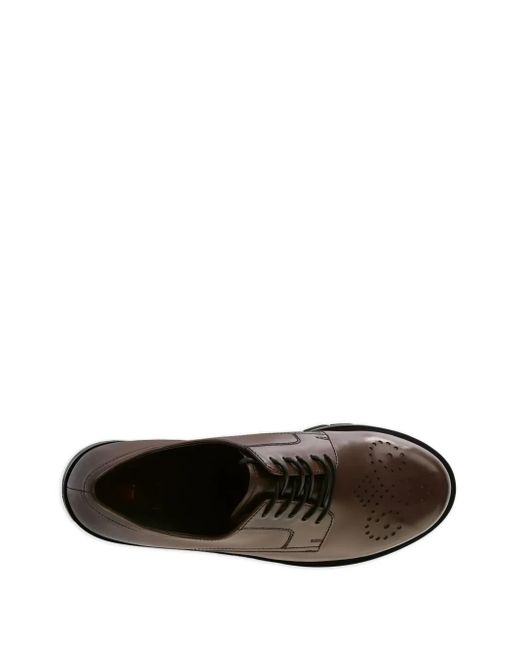 Derby Stringate di Högl in Brown