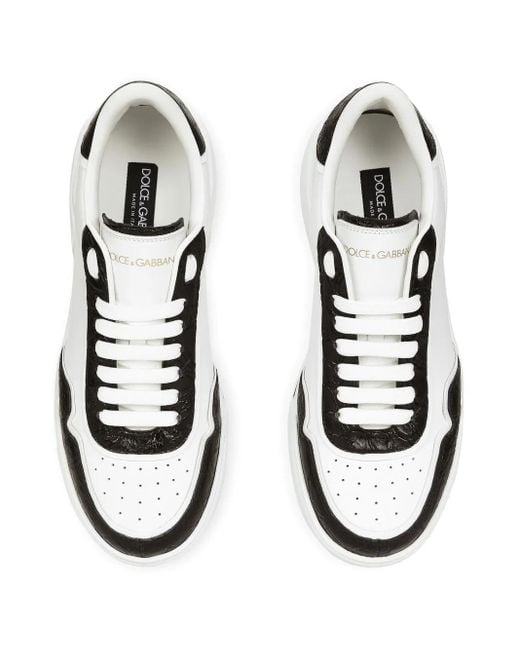 Dolce & Gabbana White New Roma Panelled Sneakers for men