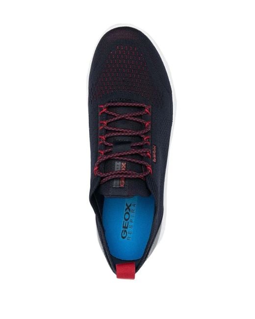 Geox Blue Knitted Low-Top Sneakers for men