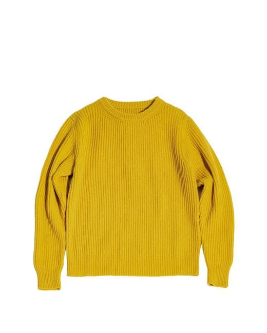 Fortela Yellow Pull Nervuré Alberto À Col Rond for men