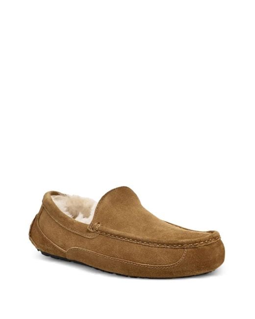 Ugg Brown Australia Ascot Moccasin for men