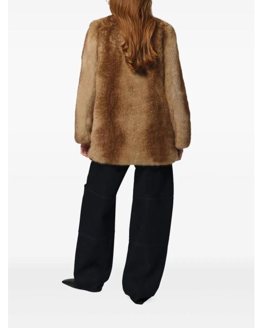 Apparis Brown Petra Single-Breasted Coat