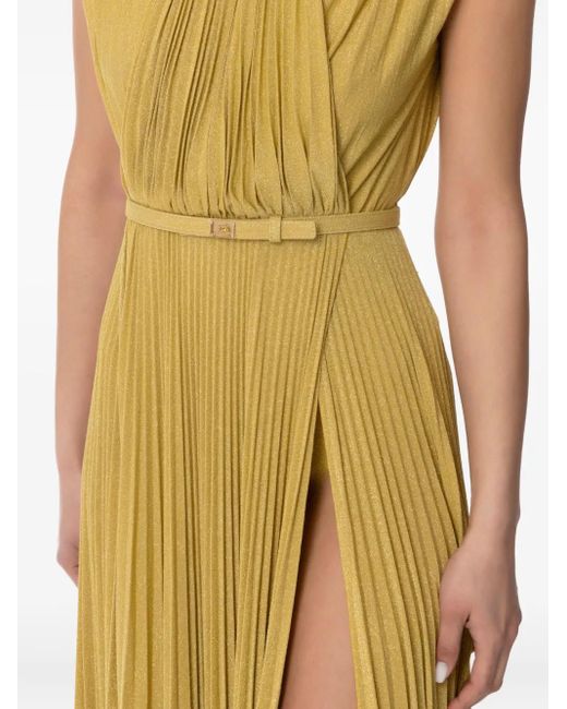 Elisabetta Franchi Geplooide Maxi-Avondjurk in het Metallic