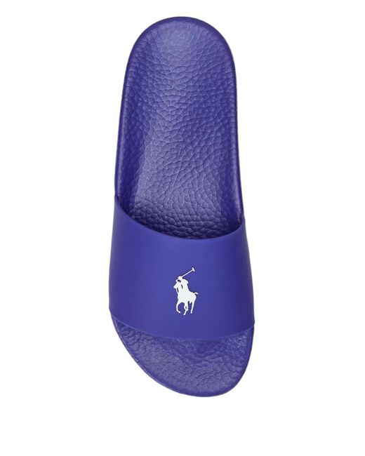 Polo Ralph Lauren Purple Logo Slides for men