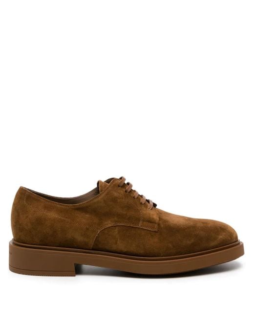 Gianvito Rossi Brown William Suede Derby Shoes for men