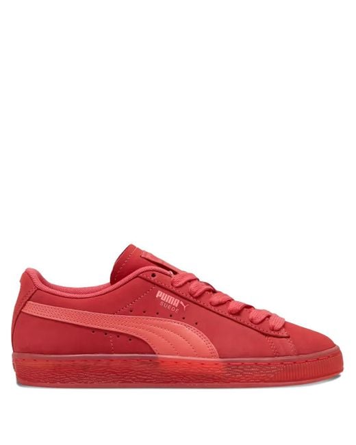 PUMA Red Suede Classic Translucent "Tart Cherry" Sneakers