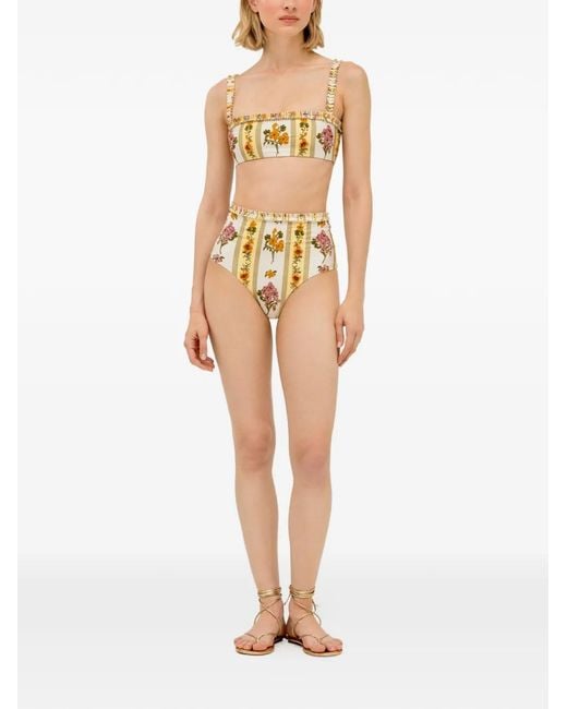 Agua Bendita Metallic Nopal Cordillera Bikini Bottom