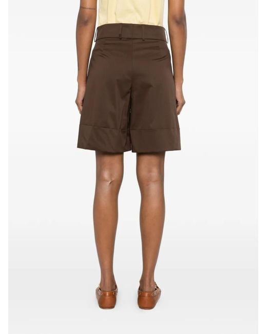 Berwich Brown Nadine Turn-Up Shorts