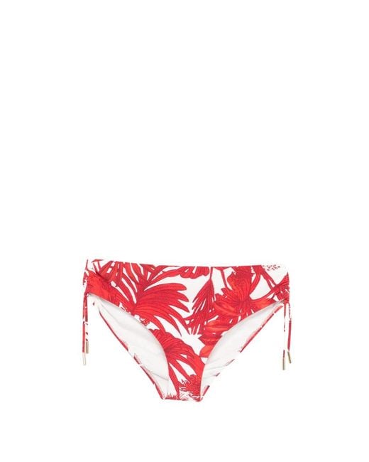 Maryan Mehlhorn Red Floral-Print Bikini Bottoms